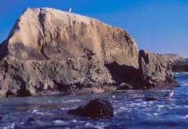 Rocks & Harbor - Dana Point California Courtesy  OC Parks