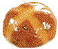 Hot cross bun, a Good Friday tradition