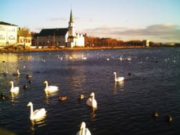 The City Hall Pool with a view of the Luthuran Cathedral