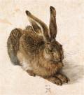 German painter's Young Hare, 1502