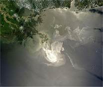 Deep Horizon oil spill in the Gulf of Mexico