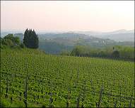 Primorska wine region, Slovenia