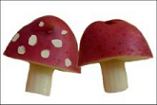 potato mushrooms