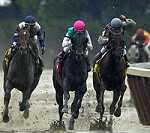 Belmont riders and horses