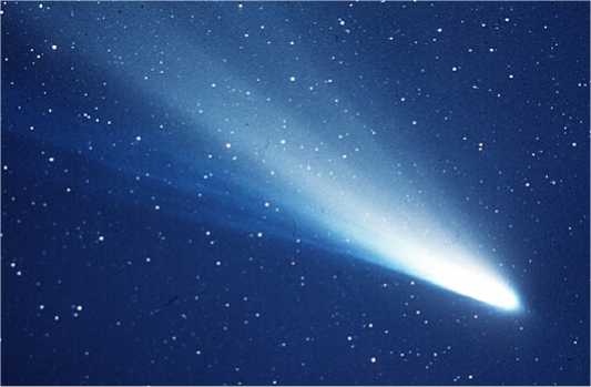 Halley's Comet