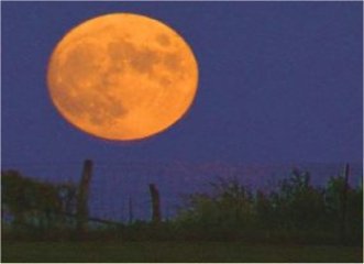 full orange moon