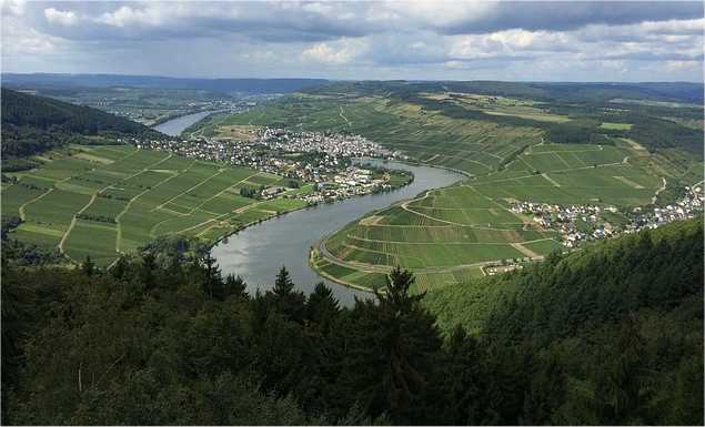 Mosel River and vineyards