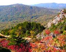 fall in Grandfather Mountain, NC
