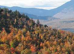 Fall color in the White Mountains, NH