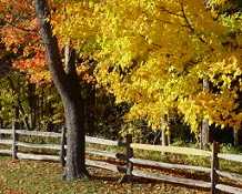 rural Ohio fall color