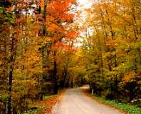 Vermont country road in fall