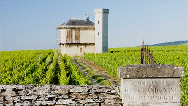 Clos Blanc De Vougeot Castle, Burgundy, France