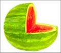 watermelon baby carriage instructions